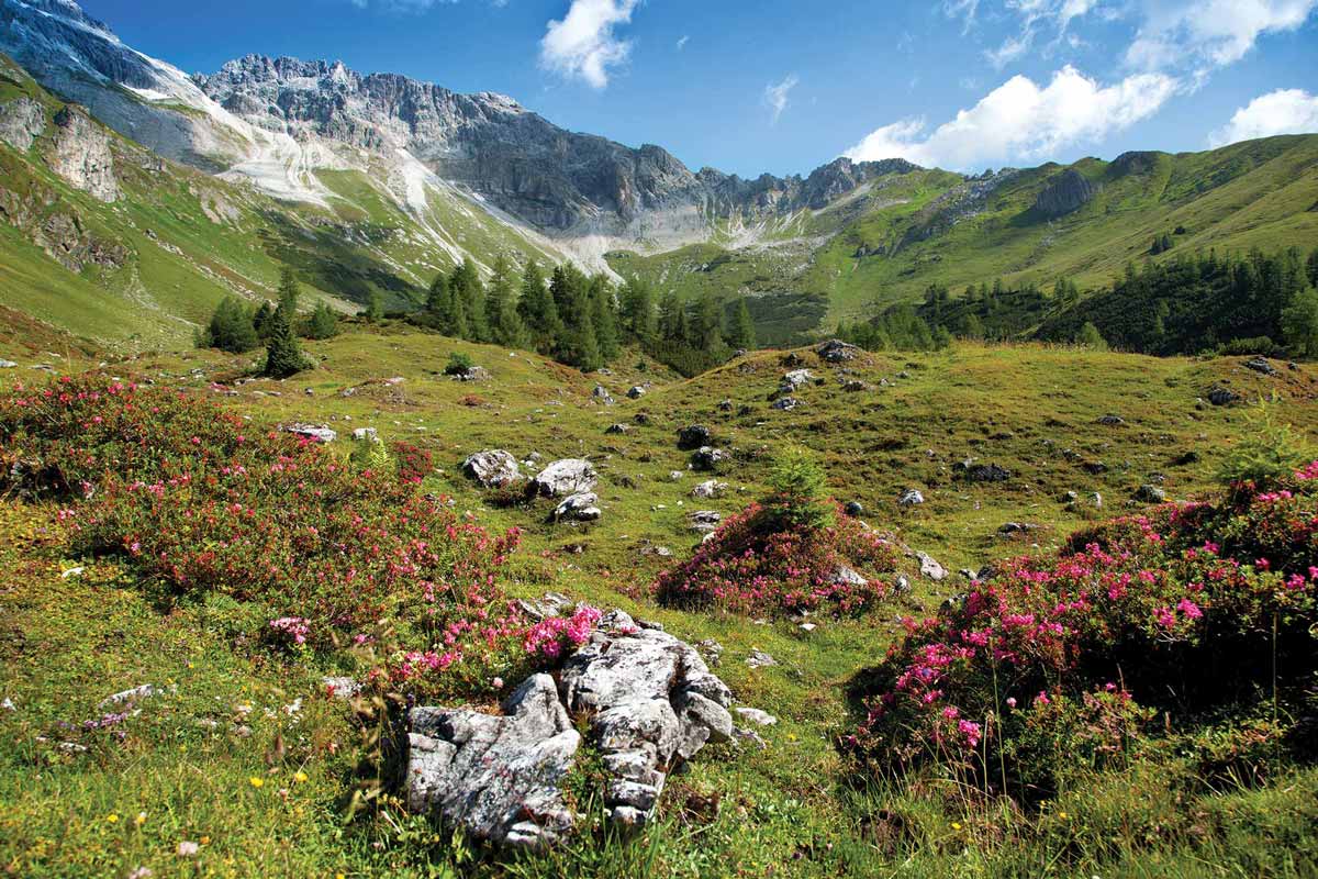 A mountain panorama in the Lungau.